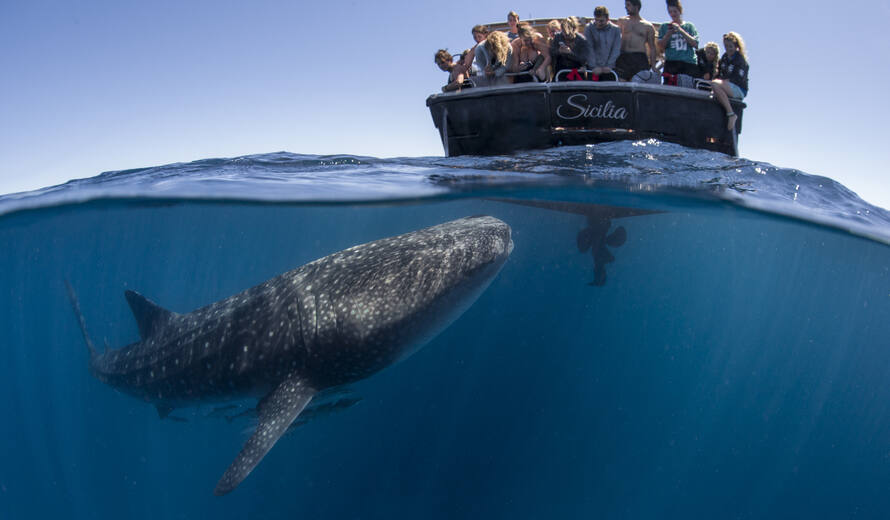 Sustainable Tourism Insights from UNESCO&nbsp;Experts