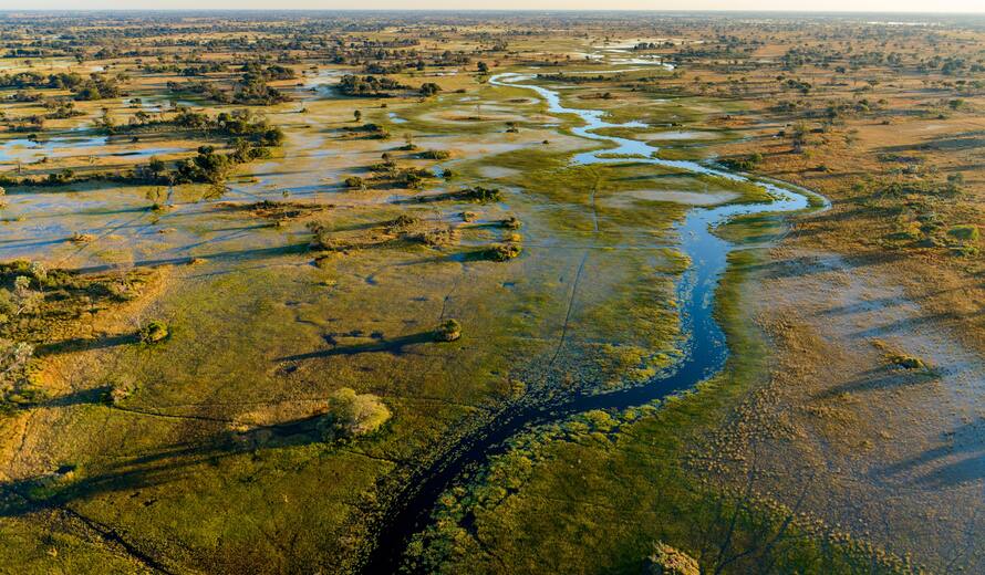 Call for Proposals: Okavango Delta Conservation Grants