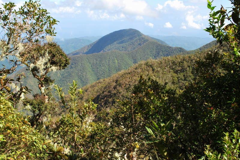 Blue and John Crow Mountains